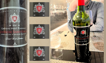 Chateau Haut Plaisance Montagne Saint-Emilion (2020)