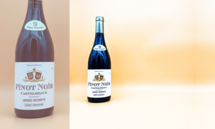 Robert Debuisson Castelbeaux: Perfect Everyday Pinot Noir