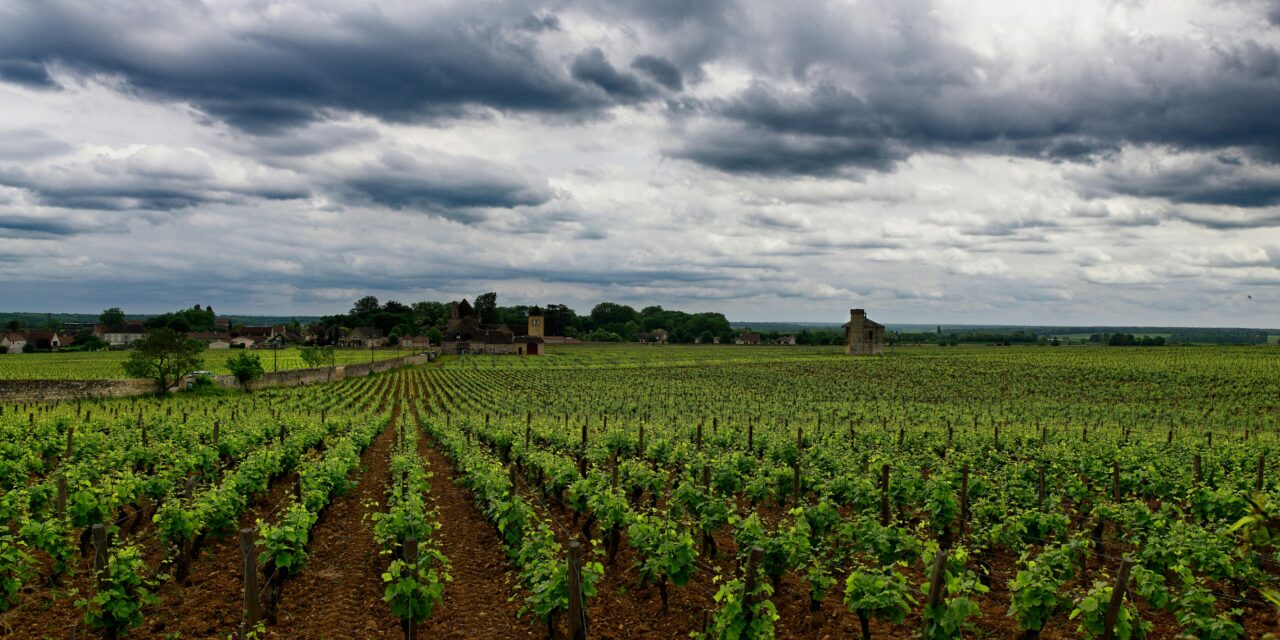 When Tradition Meets Heat: Will Burgundy Continue Refusing to Blend?