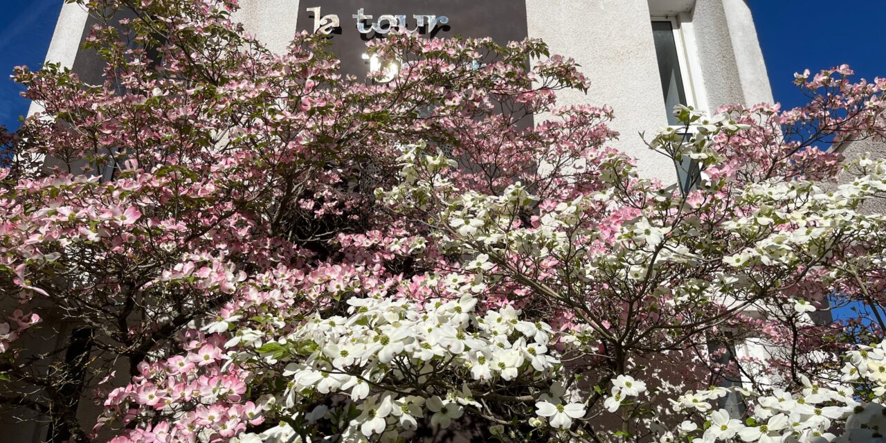 Touring the Iconic Château La Tour Blanche
