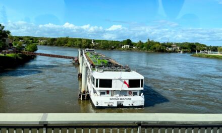 So… This Is Bordeaux
